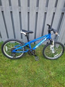 Boys bike