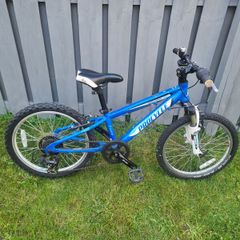 Boys bike