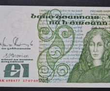 Ireland 1 Pound 1989 Queen Medb (BAK) Banknote