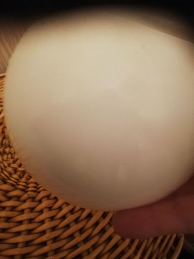 glass lamp shades