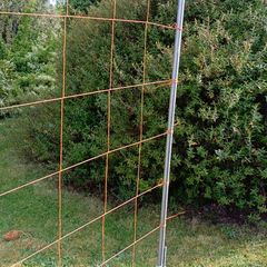 plants frame