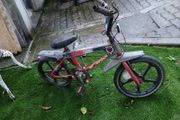Raleigh wolf