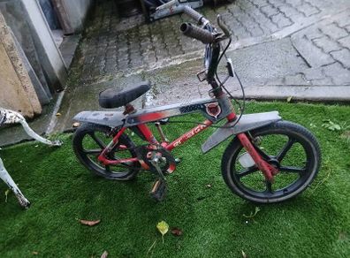 Raleigh wolf