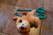 Dog for real walk a lots