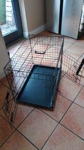 dog cage
