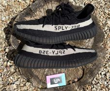 Rare Adidas Yeezy Boost 350 V2