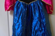 Anna costume
