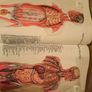 encyclopedia Brittanica Image 6