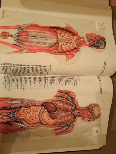 encyclopedia Brittanica