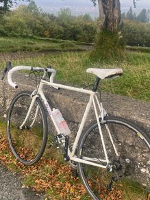 Vintage Rossin Road Bike