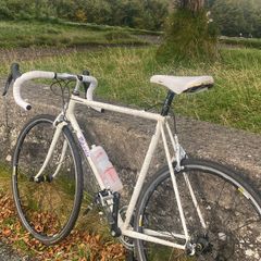 Vintage Rossin Road Bike