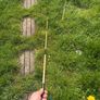 READY TO FISH SET UP fishing rod telescopic kids adults canals Image 2