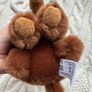 Mammoth Soft Toy By Petjes World Used damaged eyes Please look at the pictures Image 8