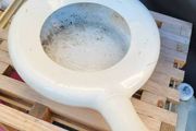 Bed Pan OR Novelty Gift