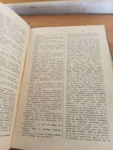 1927 Focloir Gaedilge Agus Bearla: An Irish-English Dictionary.