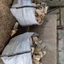 firewood Image 2