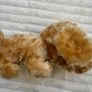Artlist Collection The Dog Plush Stuffed Big Head Golden Retriever approx. 32 cm length Used Please see photos Image 4