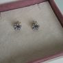 Pandora dazzling daysi flower earrings in great condition fully hallmarked Image 3