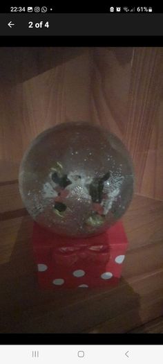 disney mickey and minnie snowglobe