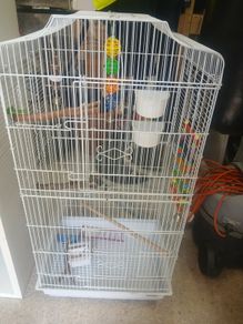 bird cage