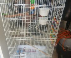 bird cage