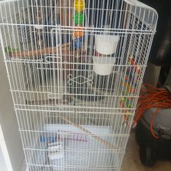 bird cage