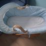 Moses basket Image 2