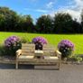 garden Image 7