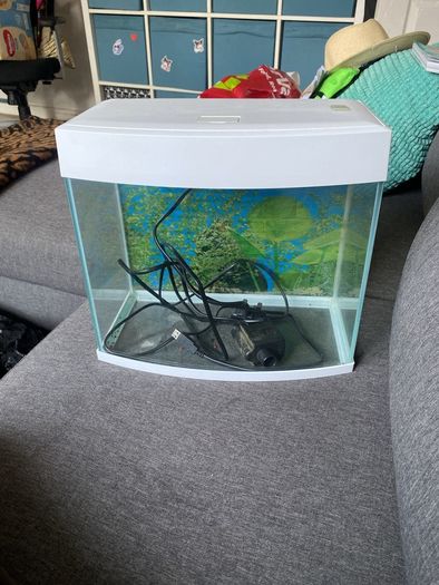 Fish Tank and accesories