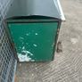 dog box Image 2