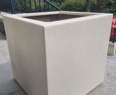 Plant Pot
