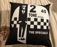 2 tone cushion covers the specials