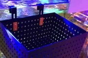 Fish Tank Isolation Box