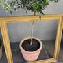 Beautiful 70x70 wooden painting frame Image 3
