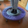 Small trampoline Image 3