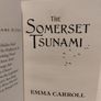 The Somerset tsunami by Emma Carroll Image 5