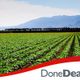 Rennard Farms / Ronan Farms