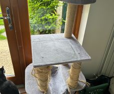 Cat tree