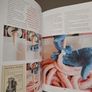 Signed Limited 1st ed The Notorious PIG Image 7