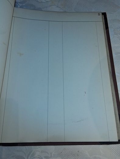 Victorian Newspaper Extract Cuttings Ledger