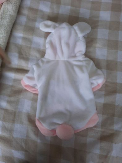 bunny dog coat/costume