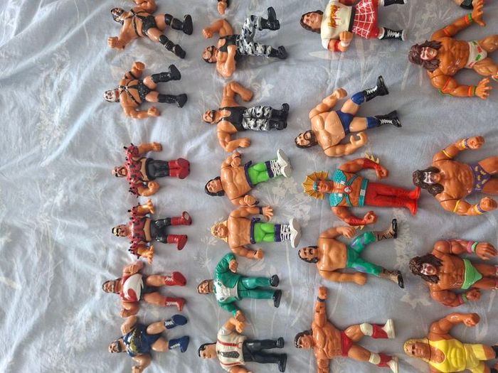 Wwf Wwe Hasbro 42 Figures Plus Ring