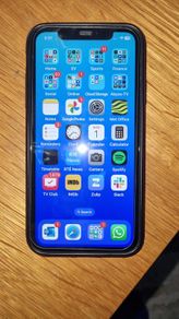 Apple iPhone 11 (Unlocked)