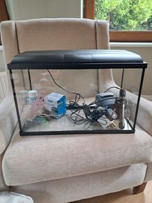 Tropical Fish Tank