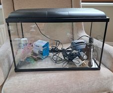 Tropical Fish Tank