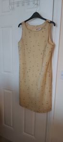 Ladies Dress