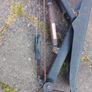 scooter Image 2