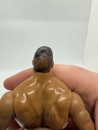 wwe Jakks The Rock action figure
