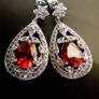 Stunning Earrings Image 6