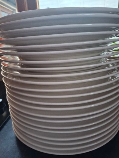 Dinner plates